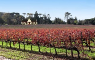 Franschhoek-Cape-Dutch-copy