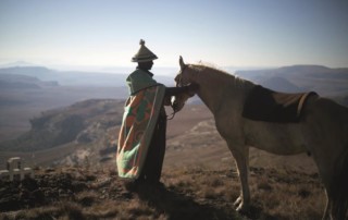 Free-State-Sotho-horse-copy