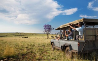 JHB-Game-drive-through-the-Cradle-of-Mankind-Sterkfontein-copy