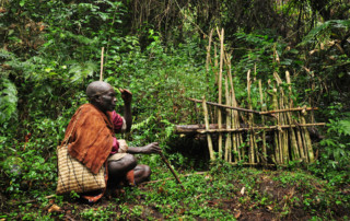 Africa; Uganda; Sanctuary Gorilla Forest Camp