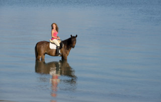 Benguerra-Island-Horse-Riding-1.jpg