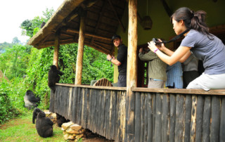 Bwindi-Impenetrable-Forest-5-copy