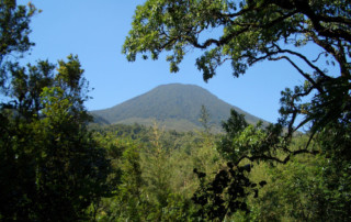 Bwindi_Impenetrable_National_Park
