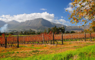 Franschhoek-pic-copy