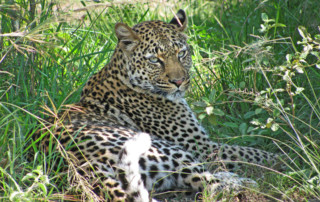 Queen-Elizabeth-National-Park-5-copy