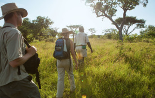Safari-bushwalk-copy