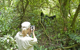 Sanctuary-Gorilla-Forest-Camp-trek-copy
