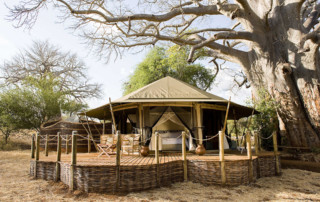 Sanctuary-Swala-Tarangire-Tanzania-copy