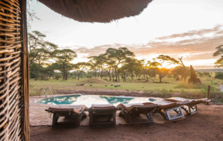 Africa; Tanzania; Sanctuary Swala; Pool Sunrise