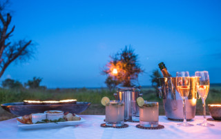 Africa; Tanzania; Tarangire National Park; Sanctuary Swala; Sundowners