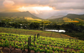 Winelands-Franschhoek