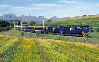 Blue-Train-past-Hyde-flowers-1