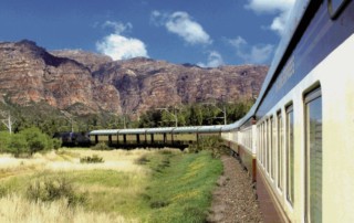 shonogololo-express